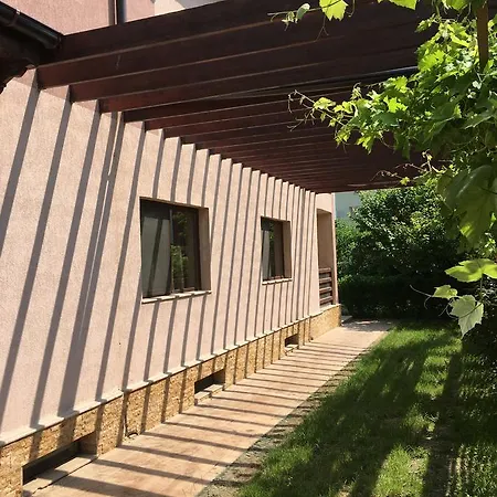 Villa Ovidiu וילה אובידיו